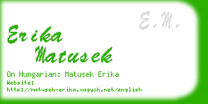 erika matusek business card